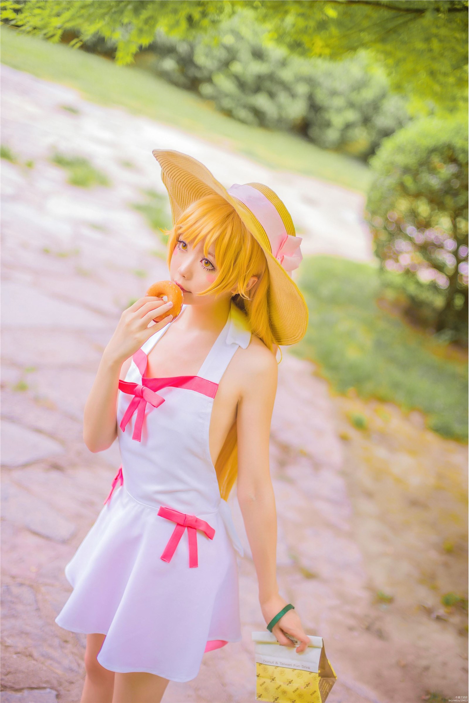 Star's Delay to December 22, Coser Hoshilly BCY Collection 9(127)